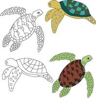 zee schildpad clip art. aquatisch dier clip art voor geliefden van onderwater- zee dieren, marinier leven, en zee leven vector