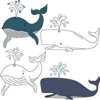 walvis clip art. aquatisch dier clip art voor geliefden van onderwater- zee dieren, marinier leven, en zee leven vector