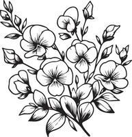 zoet erwt bloemen kleur bladzijde, eenvoud, versiering, monochroom, kunst, schets afdrukken met bloesems zoet erwt, bladeren, en bloemknoppen zoet erwt bloemen tatoeages, overladen contour zoet erwt fabriek vector