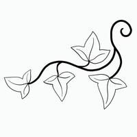 bloemen klimop tekening decoratief ornament vlak ontwerp. vector