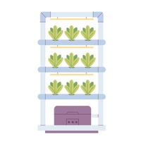 hydrocultuur technologie voor planten groeien. verticaal landbouw. slim boerderij vector