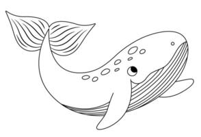 zwart en wit walvis icoon. onder de zee lijn illustratie met schattig grappig vis. oceaan dier clip art. tekenfilm onderwater- of marinier kleur bladzijde voor kinderen geïsoleerd Aan wit achtergrond vector