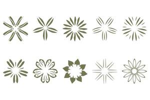 botanisch bloem ontwerp set. decoratief bloemen vector