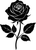 bloeiend in schaduwen een bevallig silhouet van roos vector