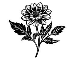 protea bloemen zwart silhouetten vector