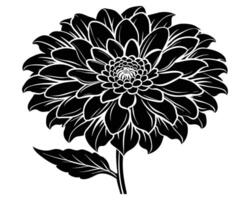 zwarte en witte bloem vector