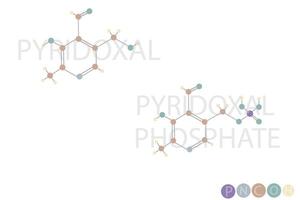 pyridoxal fosfaat moleculair skelet- chemisch formule vector