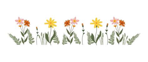 kleurrijk wijnoogst voorjaar bloemen grens, natuur bloemen patroon kader geïsoleerd Aan wit achtergrond, botanisch vlak ontwerp illustratie vector