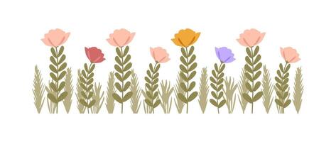 kleurrijk wijnoogst voorjaar bloemen grens, natuur bloemen patroon kader geïsoleerd Aan wit achtergrond, botanisch vlak ontwerp illustratie vector