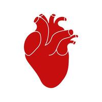 realistisch menselijk hart icoon Aan wit achtergrond vector