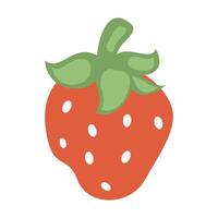 hand- getrokken aardbei fruit illustratie Aan wit achtergrond vector