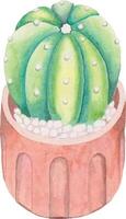 schattig waterverf cactus clip art - downloaden sappig illustratie vector