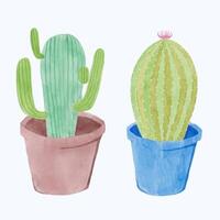 schattig waterverf cactus clip art - downloaden sappig illustratie vector