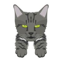 trendy wildcat-concepten vector