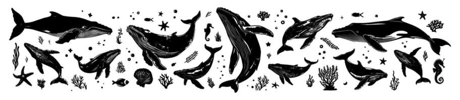 hand- getrokken reeks met walvissen en vis in silhouet of Linosnede stijl. geïsoleerd illustratie met getextureerde effect. onderwater- dieren afdrukken versierd aquarium rivier- dieren voor stickers, zee logo vector