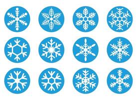 sneeuw bloem ontwerp icoon reeks vector