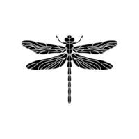 libel zwart en wit illustratie geïsoleerd Aan wit achtergrond. zwart en wit realistisch hand- tekening van libel insect Aan wit achtergrond vector