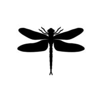 libel zwart en wit silhouet illustratie. zwart en wit realistisch hand- tekening van libel insect Aan wit achtergrond vector