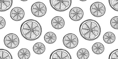 hand- getrokken monochroom naadloos patroon met etsen citroen stuk vector