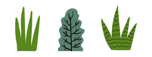 reeks van tekening tropisch planten van verschillend vormen. oerwoud, Woud, natuur. hand- getrokken illustratie in vlak stijl. vector
