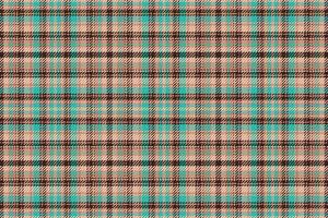 tartan geruite patroon met textuur. vector