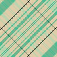 tartan geruite patroon met textuur. vector