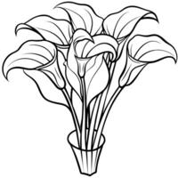 calla lelie bloem boeket schets illustratie kleur boek bladzijde ontwerp, calla lelie bloem boeket zwart en wit lijn kunst tekening kleur boek Pagina's voor kinderen en volwassenen vector