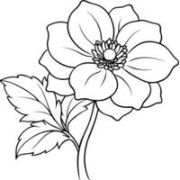 anemoon bloem fabriek schets illustratie kleur boek bladzijde ontwerp, anemoon bloem fabriek zwart en wit lijn kunst tekening kleur boek Pagina's voor kinderen en volwassenen vector