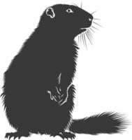 silhouet marmot dier zwart kleur enkel en alleen vol lichaam vector