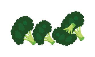 broccoli ontwerp en illustratie. vector