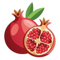 granaatappel fruit illustratie vector