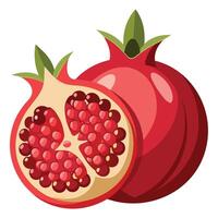 granaatappel fruit illustratie vector