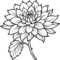 chrysant bloem fabriek schets illustratie kleur boek bladzijde ontwerp, chrysant bloem fabriek zwart en wit lijn kunst tekening kleur boek Pagina's voor kinderen en volwassenen vector