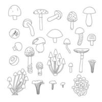 vector set van zwarte en witte champignons. verzameling van geïsoleerde monochrome espen, sinaasappelbeker, champignon, cantharellen, paddenstoel, doodsmuts, schimmel. voedselelementen in cartoonstijl