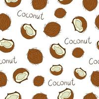 vector naadloze patroon van gekleurde noten. herhaal achtergrond met geïsoleerde heldere kokosnoten. voedseltextuur in cartoon- of doodle-stijl.