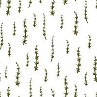 paardestaart medicinale plant naadloze vector botanische patroon. equisetum plant en ontsnap met de hand getekende textuur. veld bloemen achtergrond.