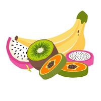 exotisch vruchten. reeks van zoet tropisch vruchten. samenstelling van rijp bananen, draak fruit, kiwi, papaja.tropisch vers voedsel in huid en pulp. gezond voeding. clip art. vlak illustratie vector