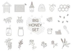 vector zwart-wit set van honing, bij, hommel, bijenkorf, wesp, bijenstal, weide bloemen, honingraten, propolis, pot, lepel. zwart-wit honing collectie geïsoleerd op een witte achtergrond.