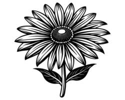 naadloos monochroom bloemen patroon vector