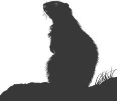 silhouet marmot dier zwart kleur enkel en alleen vol lichaam vector