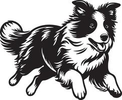 grens collie hond illustratie. vector