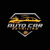 auto auto detaillering vector