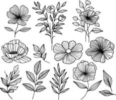 reeks van zwart bloemen. reeks van hand- getrokken decoratief bloemen planten. vector