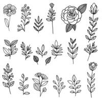 reeks van hand- getrokken bloem elementen. botanisch collecties. vector