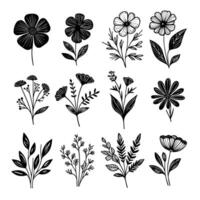 reeks van artistiek zwart en wit hand- getrokken bloemen illustratie vector