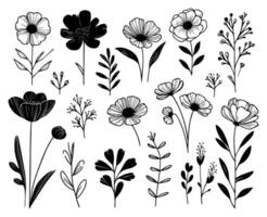 reeks van zwart en wit stam bloemen en blad hand- getrokken stijl ontwerp vector