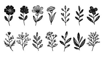reeks van gemakkelijk elegant monochromatisch zwart en wit hand- getrokken bloem stam en bloemblaadjes vector