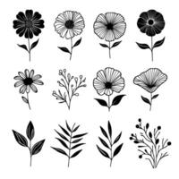 reeks van gemakkelijk zwart en wit plantkunde en bloemen illustratie vector