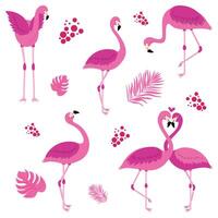 schattig flamingo in verschillend houdingen vector