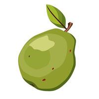 sappig en gezond groen guava met groen blad. geïsoleerd illustratie Aan wit achtergrond. zomer fruit voor vlak ontwerp van kaart, banier, folder, uitverkoop, poster, pictogrammen vector